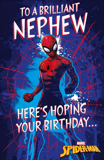 Picture of BRILLIANT NEPHEW SPIDERMAN CARD